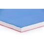 TRINFIT Tatami JUDO T40 - 100 x 100 x 4 cm okraj modrý